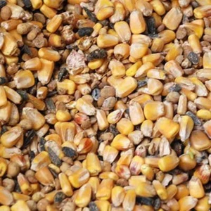 Deer Feed Mix, 50 Lbs. - Picture 1 of 4