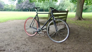 Black Singlespeed Bike, not fixie, 59cm, steel, 700c wheels, bontrager - Picture 1 of 11