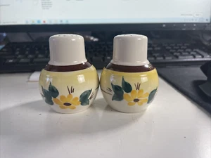 Vernon Kilns Brown Eyed Susan Salt and Pepper Shakers - Picture 1 of 7