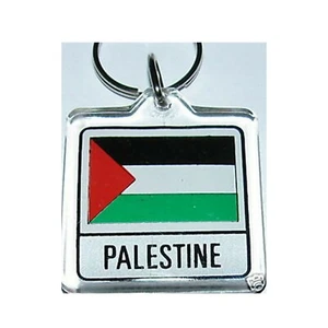 Palestine Flag Lucite Keychain / Key Ring. NIP. FREE US SHIPPING - Picture 1 of 1