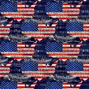 We The People Star Spangled Banner USA Patriotic Cotton Fabric By 1/2 Yard - Picture 1 of 1