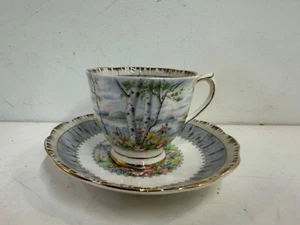 Vintage Royal Albert Porcelain “Silver Birch” Cup and Saucer - Picture 1 of 14