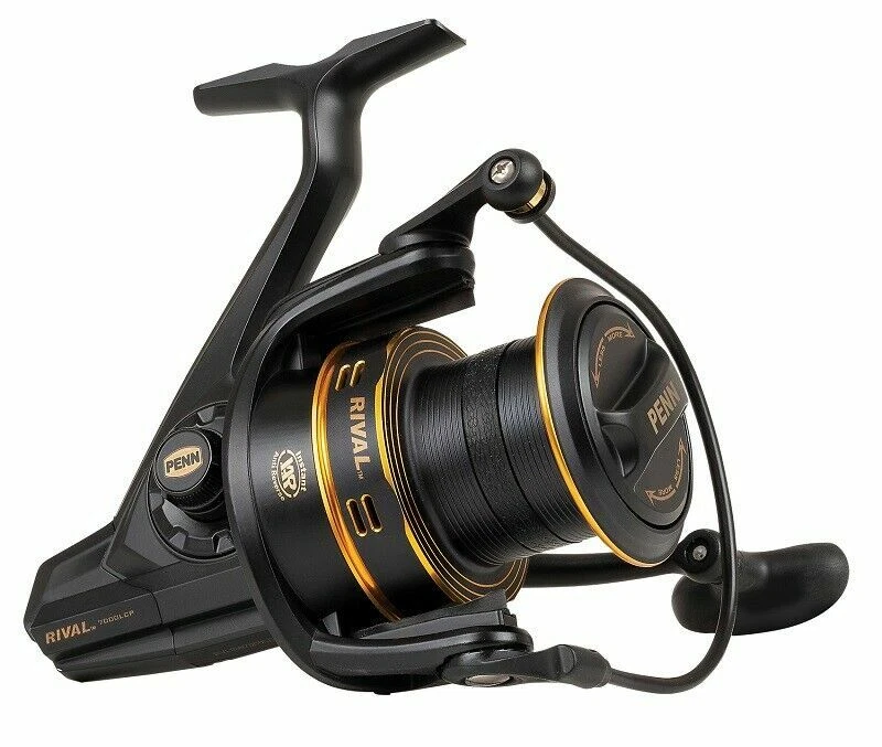 PENN Rival Longcast Gold 6000 LC 1524485 - Bild 1 von 1