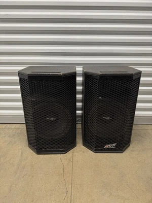 Lote de 2 Altavoces Internacionales Artist Systems Sound - Audio Profesional Vintage Foto 1 de 4
