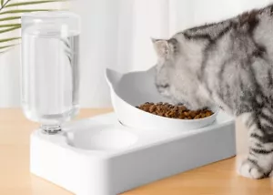 Alimentador Automático Mascotas Perro Gato Cuenco con Dispensador de Agua Doble - Imagen 1 de 9