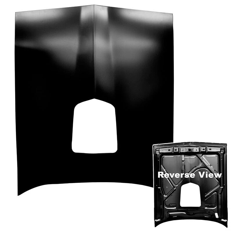 HOOD TRANS AM W/SHAKER HOLE 1977-81 FIREBIRD - Изображение 1 из 1