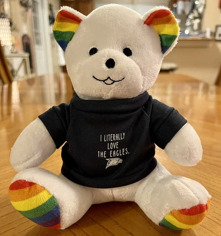 6" I Literally Love The Eagles Souvenir Teddy Bear Plush K2 Cover