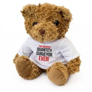 NEW - THE GREATEST QUANTITY SURVEYOR EVER - Teddy Bear - Cute - Gift Present - Picture 1 of 7