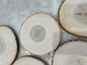 3 Pack Large Wood Slices Centerpieces 8"-12" Round Rustic Wedding/Garden Decor - Picture 1 of 4