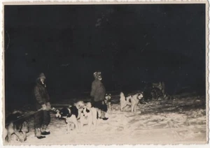 OLD ORIGINAL PHOTO ARGENTINIAN ANTARCTIC EXPEDITION MEN & HUSKY SLEDGE DOGS 50s - Picture 1 of 2