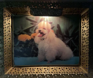 Vtg MCM Decor 3D Lenticular Holographic 21" x 17" Moving Dog Farmed Art Lamp VGC - Picture 1 of 24