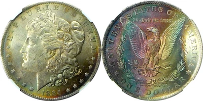 1884-O Morgan Silver Dollar - NGC MS 63* - Dark Toning - Image 1 of 3