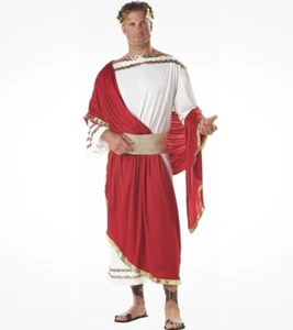 California Costumes Adult Caesar Halloween Costume Roman Ruler Greek Toga Party - Picture 1 of 6