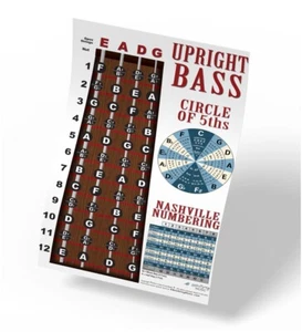 Upright Standup Bass Fingerboard Instructional Poster Notes Theory Wall Chart - Picture 1 of 7