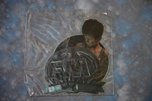 FM Someday You'll Come Running Picture disc - Bild 1 von 4