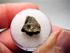 GREAT DEAL! FABULOUS FIND! AMAZING ABADLA 002 CM2 METEORITE! .853 GMS! - Picture 1 of 6