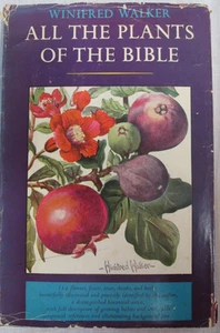 Winifred Walker All the Plants of the Bible 1957 Harcover Illustrations - Bild 1 von 14