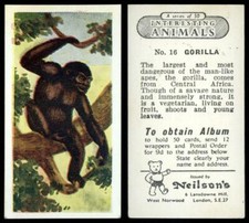 Gorilla #16 Interesting Animals 1954 Neilson's Card