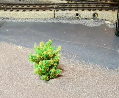 10 Yellow Blooming Bushes, Shrubs, 30 mm High for Landscaping - Image 1 of 4