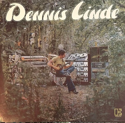 DENNIS LINDE self-titled LP ELEKTRA EKS-75062 fuzz country psych Promo NM - Image 1 of 4