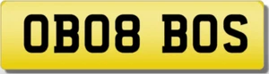 OB BOB THE BOSS!! Private CHERISHED Registration Number Plate - Picture 1 of 1