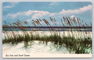 Meer Hafer und Sanddünen Florida Küste Linie Postkarte - Bild 1 von 2