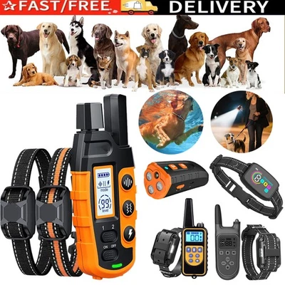 UNBEKANNT Hunde Trainingshalsband Elektrisch Wasserdicht Fernbedienung Erziehungshalsband