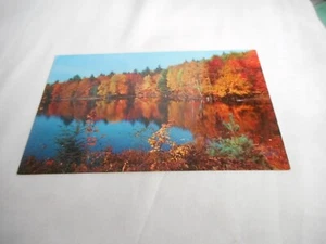 Vintage Postcard unposted Cedar Run Pennsylvania Lake fall nature 1950s - Picture 1 of 2