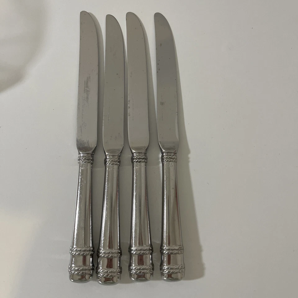 批量 4 件 Cipullo 适用于 Mikasa AMORE 不锈钢中空晚餐刀 #2 — 第 1/4 张图片