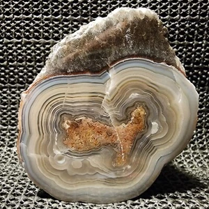 Splendido Nodulo POLISHED Agata Laguna con Ombre, Incredibile Pezzo di Dispaly, Mex - Foto 1 di 5
