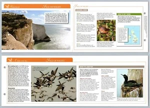 Isle Of Wight - Gazetteer - Birds Of Britain Atlas Editions Fold Out Card - Picture 1 of 1