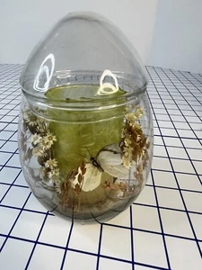 Vintage dried flowers butterfly candle display Jar Starflower Lite By Helene - Picture 1 of 4