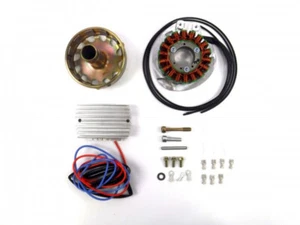 Alternador MOTO GUZZI sh 410w todos los modelos GU28712400 alternador sh 410w all - Imagen 1 de 4