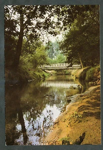 De Lutte  De Kribbenbrug - Picture 1 of 2