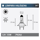 46562 - Lampara bombilla HALOGENA H7 compatible con YAMAHA X-MAX 125 (SE68) 125