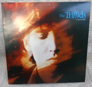 The Triffids "Calenture" LP Superb indie-rock original Aussie pressing E/M- - Picture 1 of 3