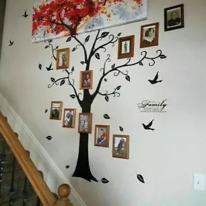 Removable Family Tree Wall Decals Mural Sticker DIY Art-Vinyl Stickers Decor - Picture 1 of 8