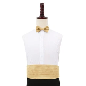 Accesorio ajustable dorado para hombre Cummerbund chantung para boda de DQT - Imagen 1 de 1