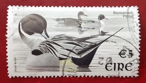IRLANDA 2002 €5 Usato Pintail Duck Mi 1397 Scott 1368 Superbo 8208 - Foto 1 di 2