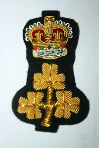 INSIGNIA GORRA DE ALAMBRE LORD TENIENTE DE IRLANDA LINGOTES - Imagen 1 de 1