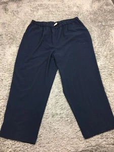 Maggie Barnes Pull On Pants Woman Size 22WP Petite Blue Elastic Waist - Picture 1 of 14