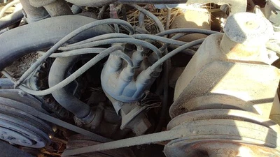 Jeep Grand Wagoneer 1984-1991 distribuidor de encendido OEM 5,9 L 83506299 Foto 1 de 3