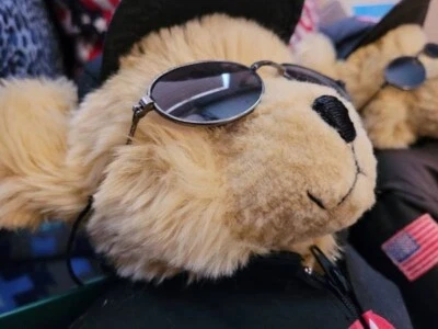 2 OSOS DE PELUCHE BEIGE NACIDOS 2000 "SPEEDY" TEXACO/HAVOLINE RACING CUARTA EDICIÓN NUEVOS EN CAJA Foto 1 de 4