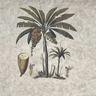 Papel tapiz Waverly Classic Palm Coconut Florida Beach Core preparado 3,5 rollos Foto 1 de 4