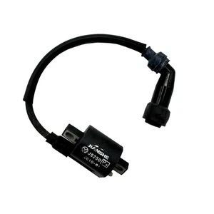 New Ignition Coil Assy for JIANSHE 250CC JS250 ATV ATV-5 FG-802000-0 - Picture 1 of 7