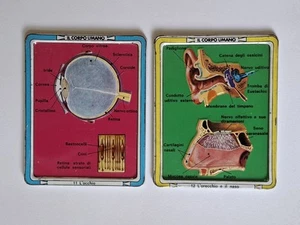 Corriere dei Piccoli 1972 Il Corpo Umano 2x Cartes Metal Litho 8x10cm Tin - Bild 1 von 2