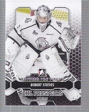 2012-13 Between The Pipes Hockey #20 Robert Steeves
