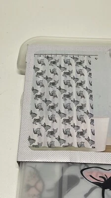 Splash 💦 Cortina de ducha Bulldog Francés para el hogar Foto 1 de 4