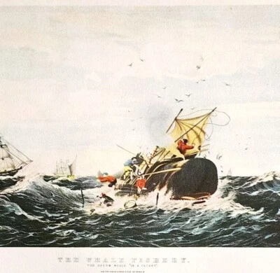 1952 The Whale Fishery cachalote placa litografía impresión Currier & Ives DWLL14 Foto 1 de 2