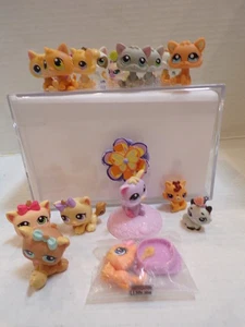 Littlest Pet Shop ~ # in Beschreibung ~ 19 verschiedene Kätzchen ~ viele Kätzchen - Bild 1 von 4